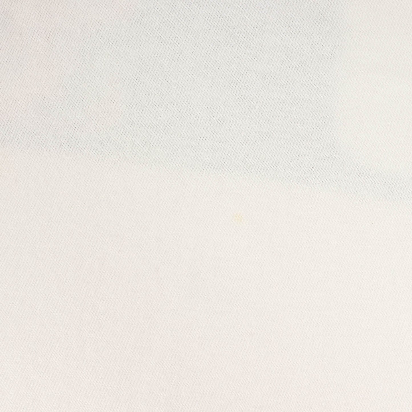 22AW ×Jack Kerouac Mount Zion グラフィック リラックスフィット Tシャツ(Relaxed-Fit Tee)