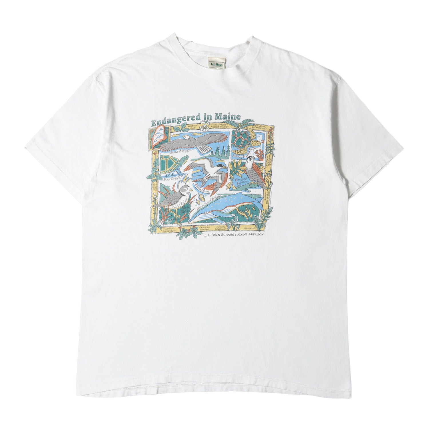 L.L.Bean (エルエルビーン) 90s 絶滅危惧種 アニマル プリント Tシャツ 