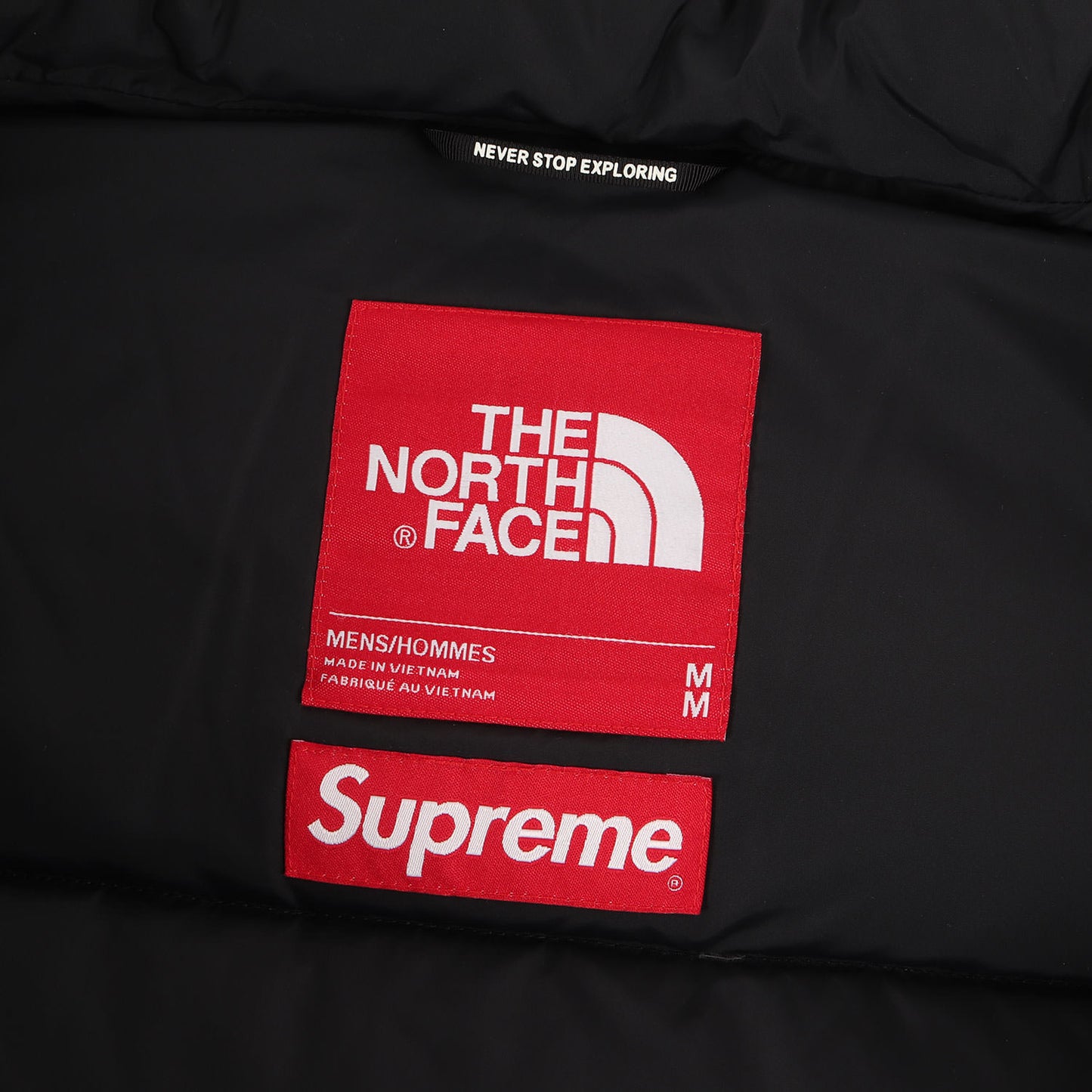20AW ×THE NORTH FACE フェイクファー ヌプシ ダウンジャケット(Faux Fur Nuptse Jacket)