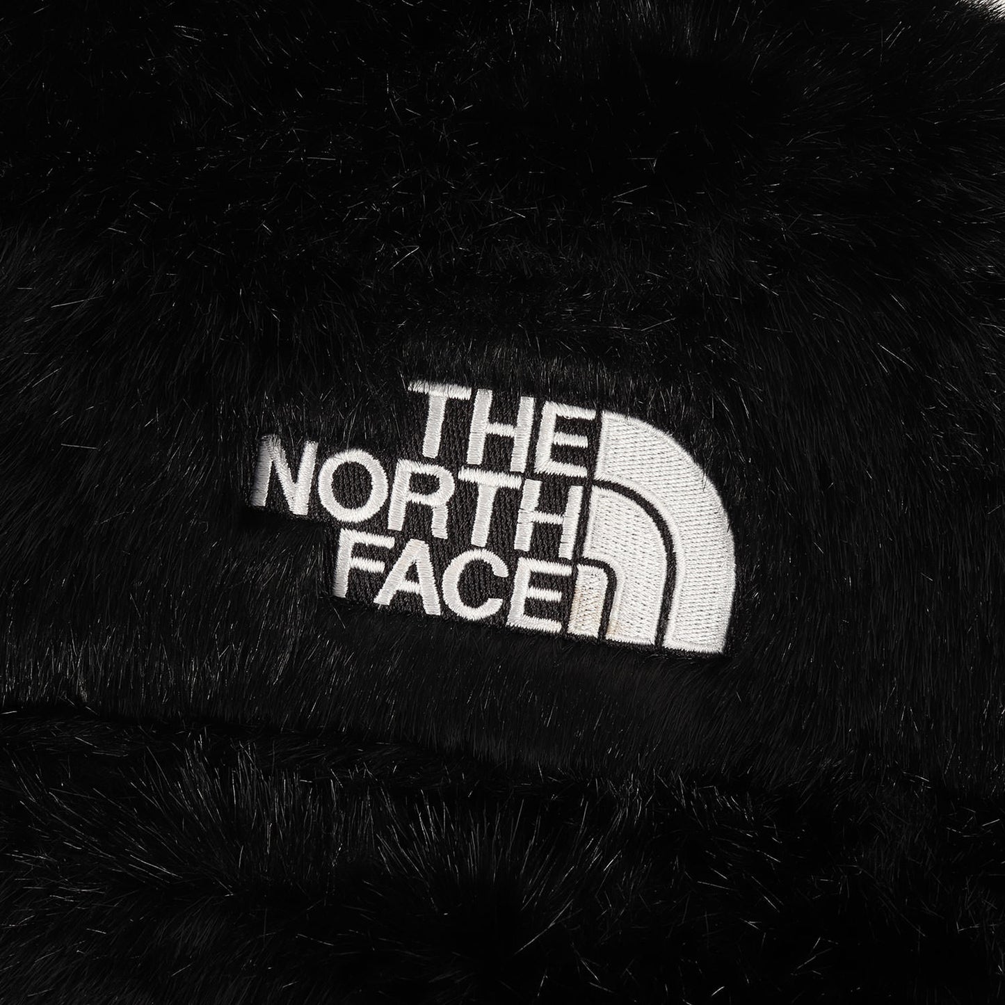 20AW ×THE NORTH FACE フェイクファー ヌプシ ダウンジャケット(Faux Fur Nuptse Jacket)
