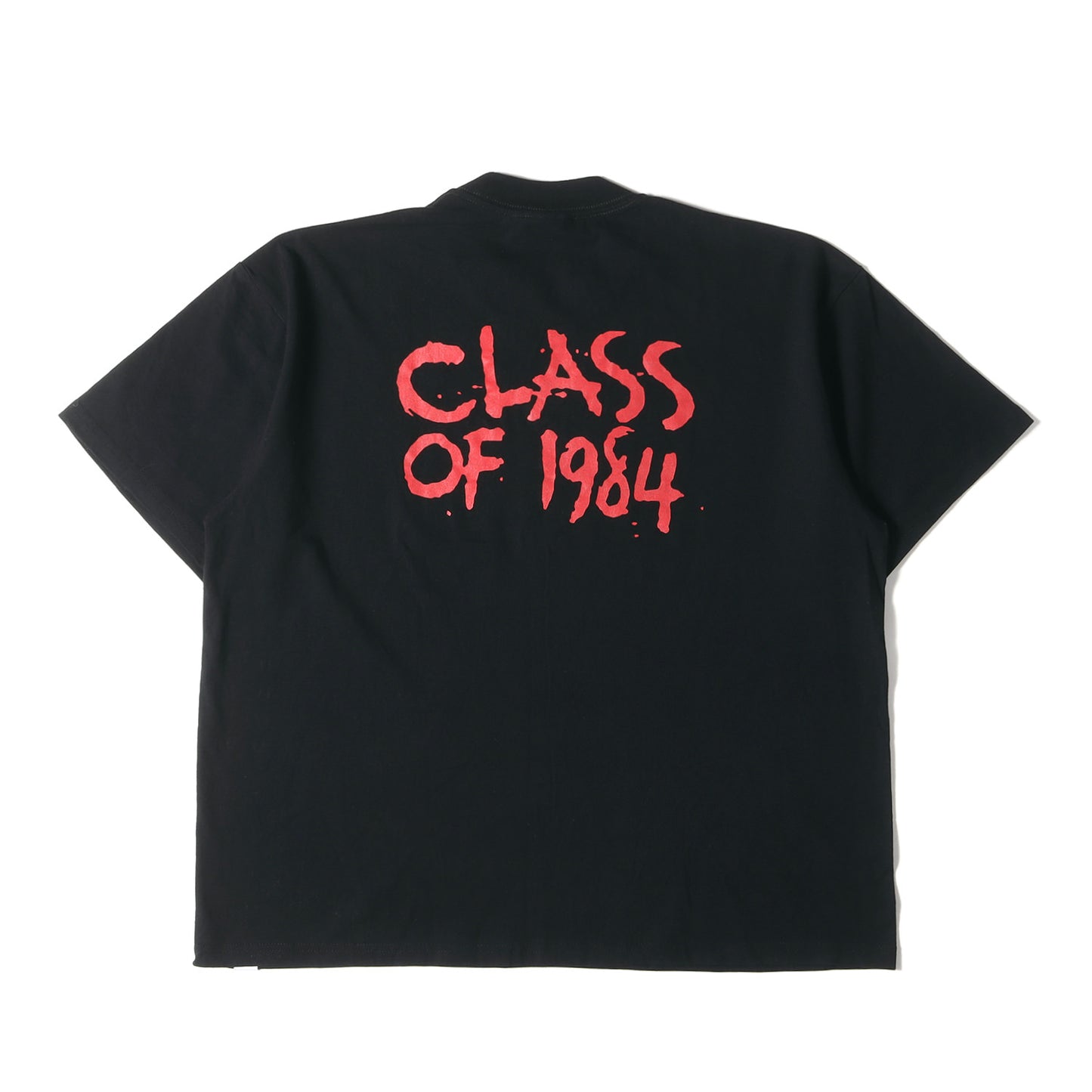 19AW バックロゴ クルーネック Tシャツ(S/S PRINT TEE LESTER)