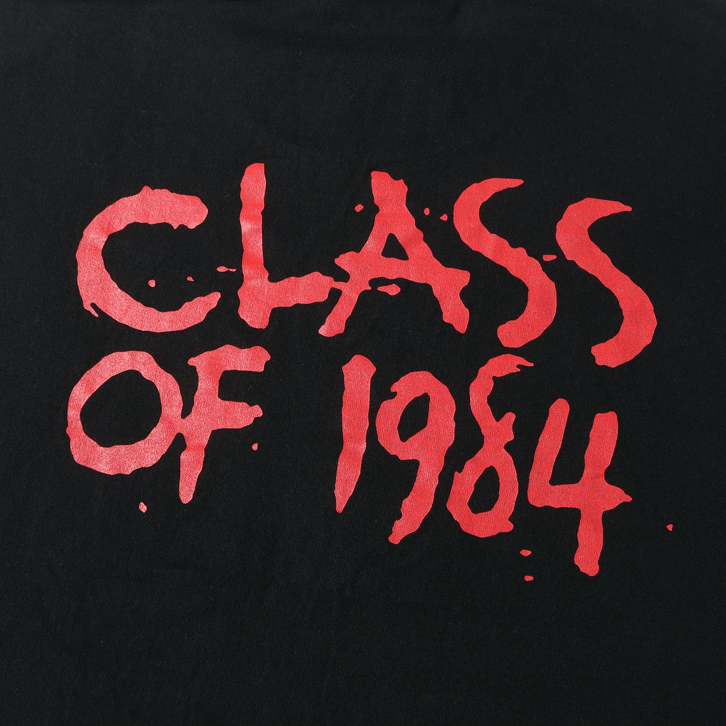 19AW バックロゴ クルーネック Tシャツ(S/S PRINT TEE LESTER)