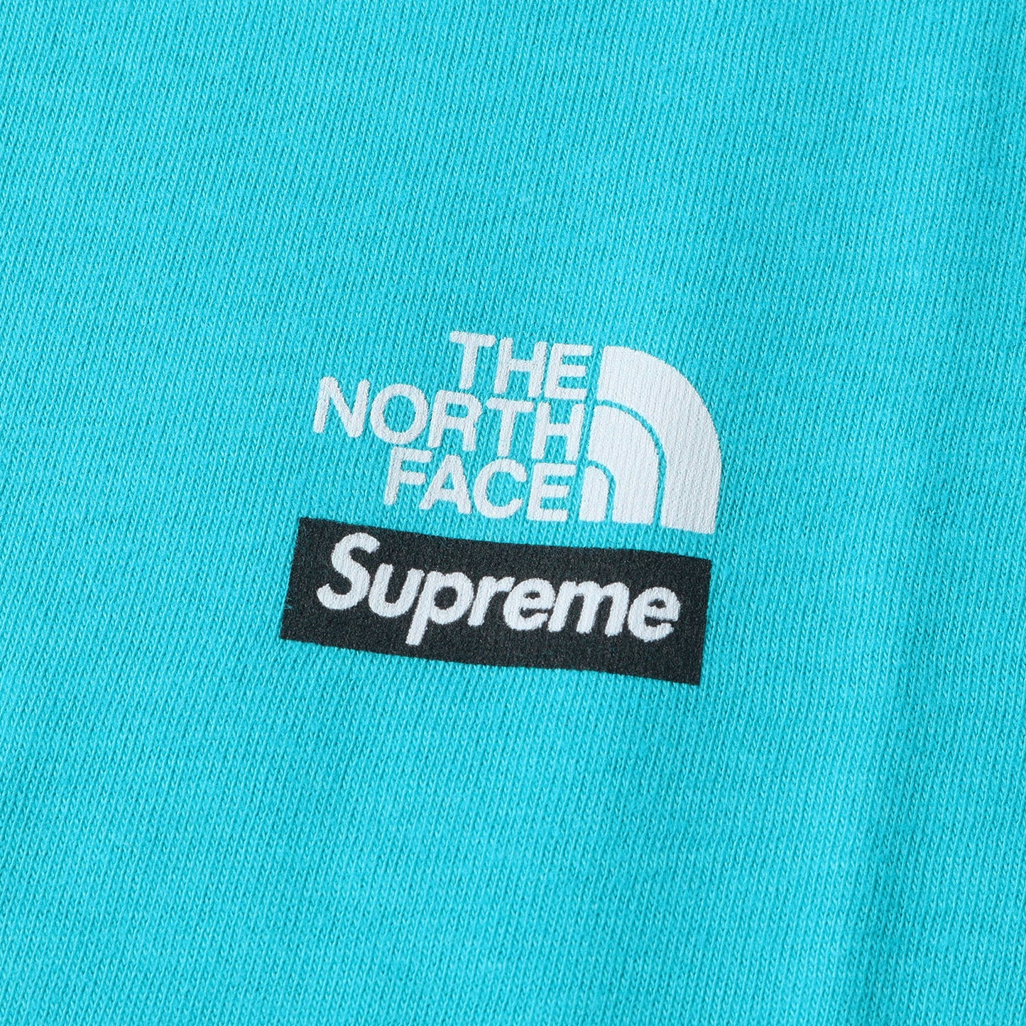 21AW ×THE NORTH FACE マウンテン プリント Tシャツ(Mountains Tee)