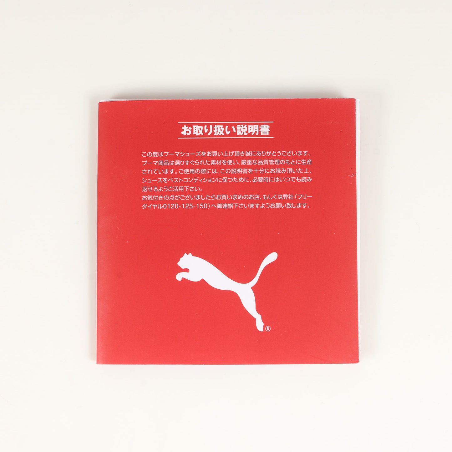 23SS ×ATMOS ×STAPLE SUEDE VTG PIGEON / CROW (390478-01)