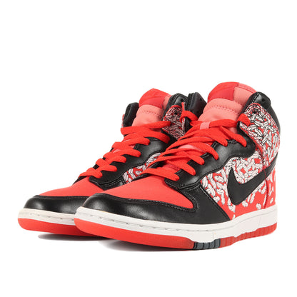 ×Paule Marrot WMNS DUNK HI SKINNY SPRM FEATHERS (354910-801)