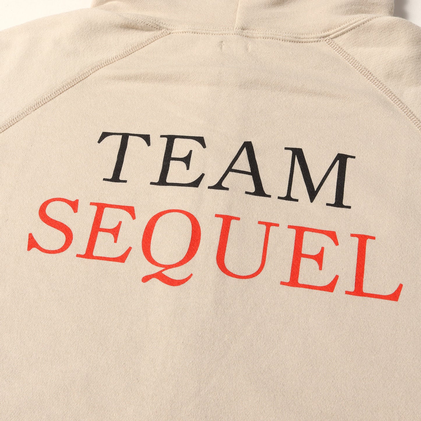 23SS TEAMロゴ ジップ スウェット パーカー(ZIP HOODIE)