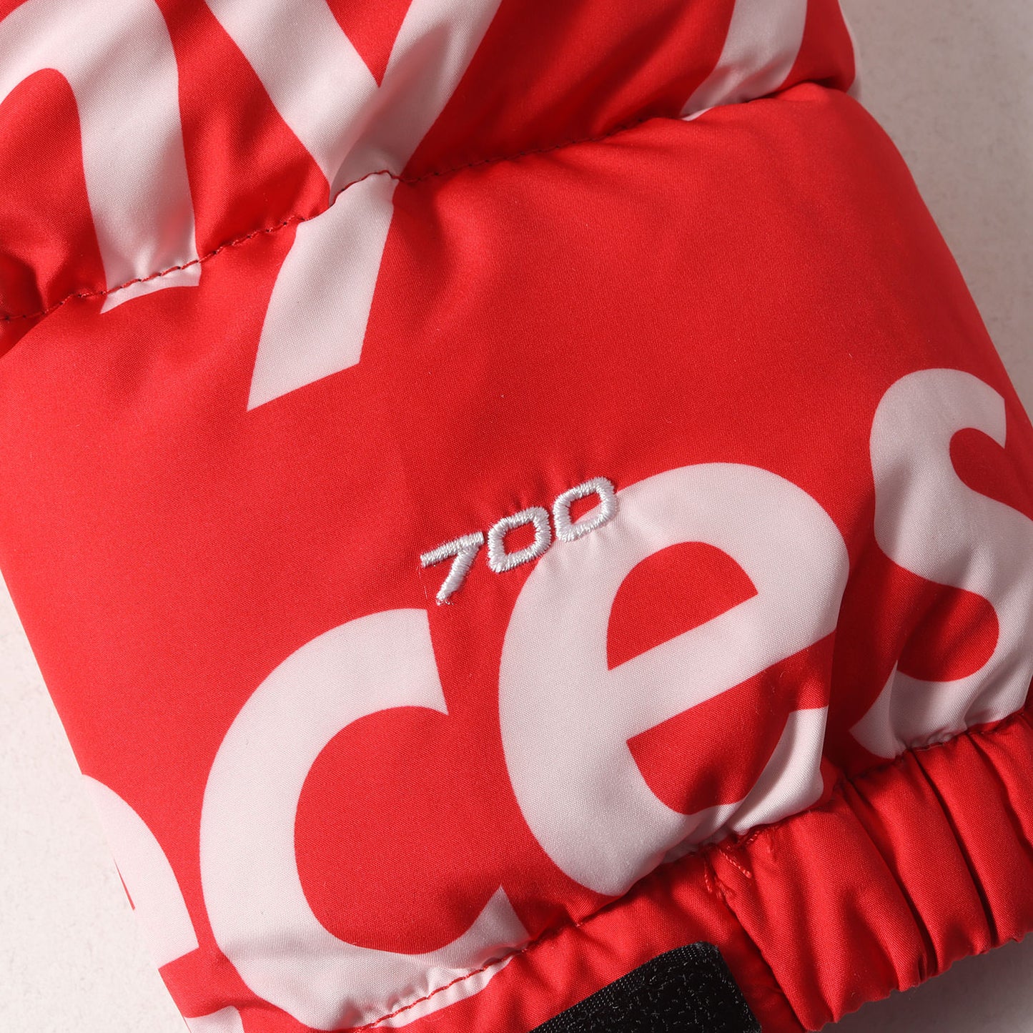 ×THE NORTH FACE メッセージロゴ ヌプシ ダウンジャケット(Nuptse Down Jacket)