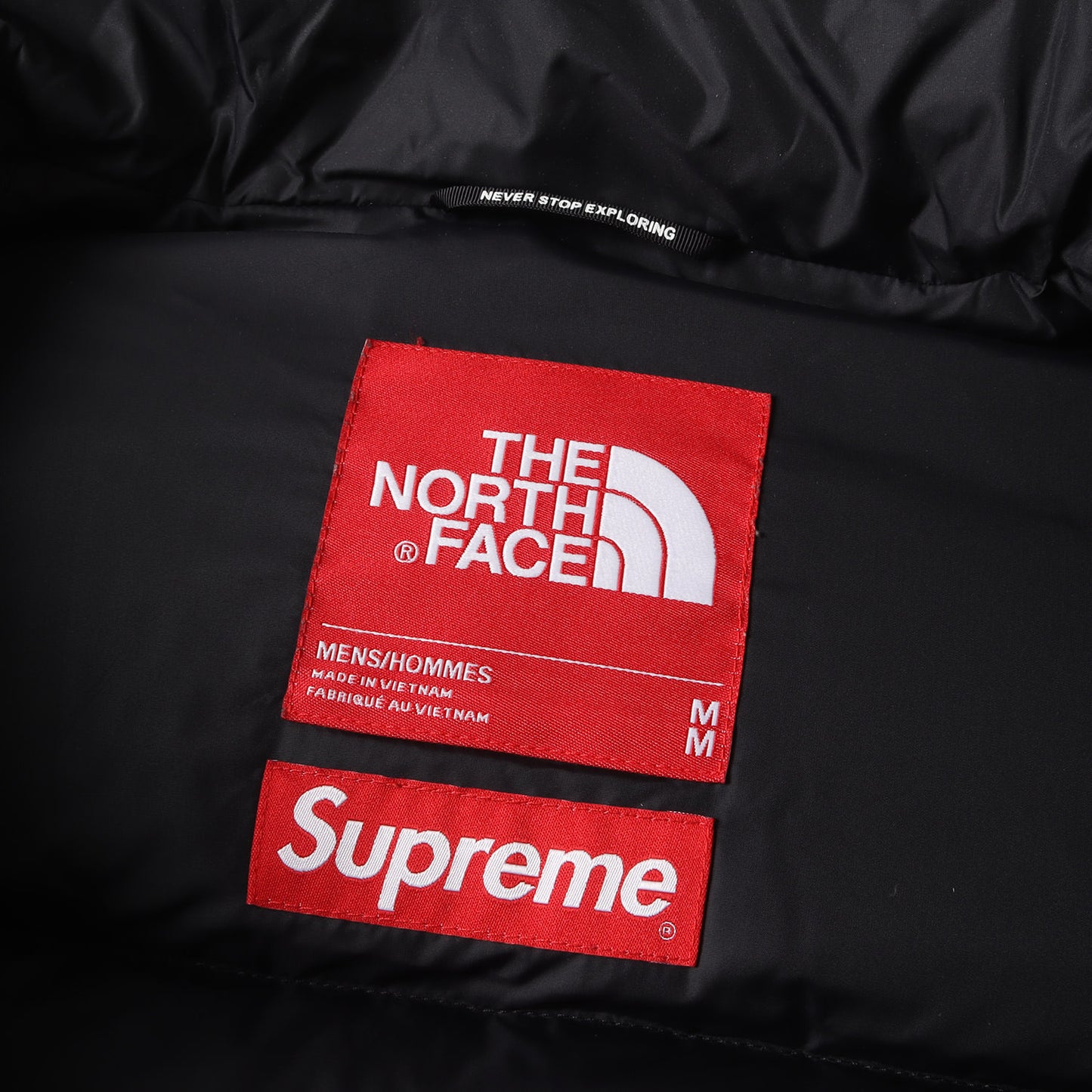 20AW ×THE NORTH FACE フェイクファー ヌプシ ダウンジャケット(Faux Fur Nuptse Jacket)