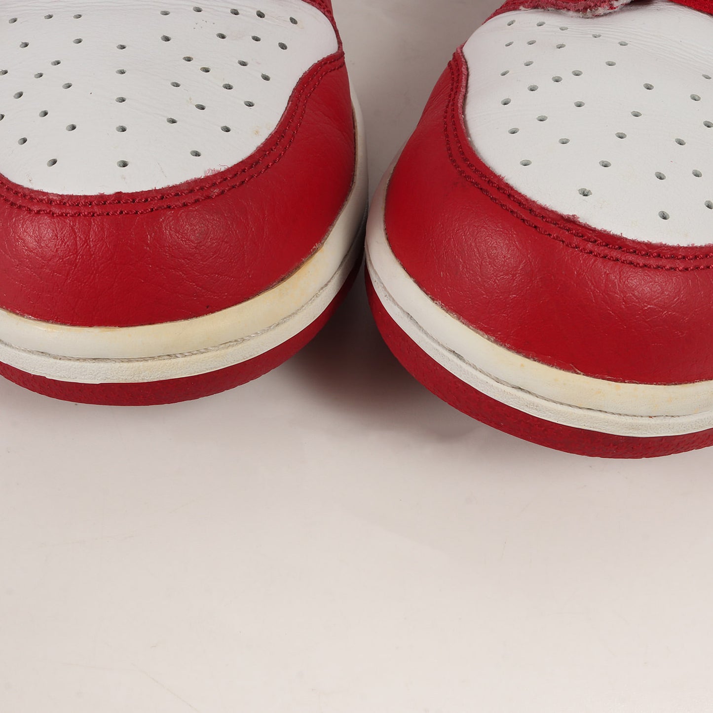 DUNK LOW (318019-103)