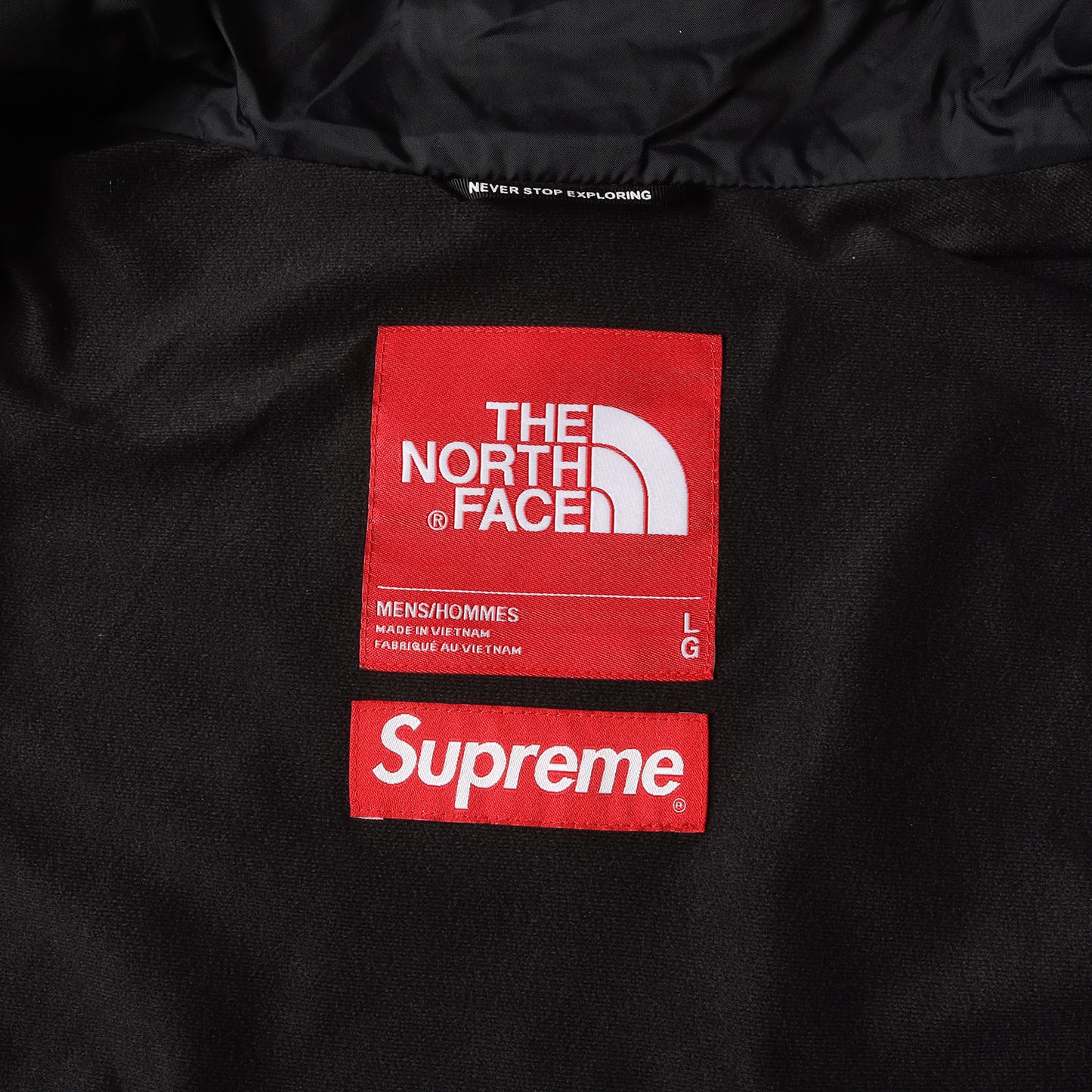 21SS ×THE NORTH FACE スタッズ柄 マウンテン ライト ジャケット(Studded Mountain Light Jacket)