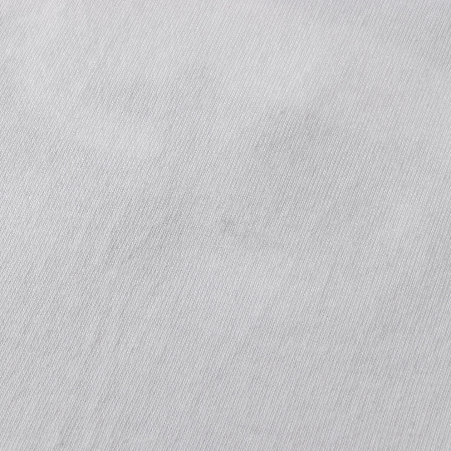 21SS ×Wheaties ボックスロゴ パッケージ Tシャツ(Tee)