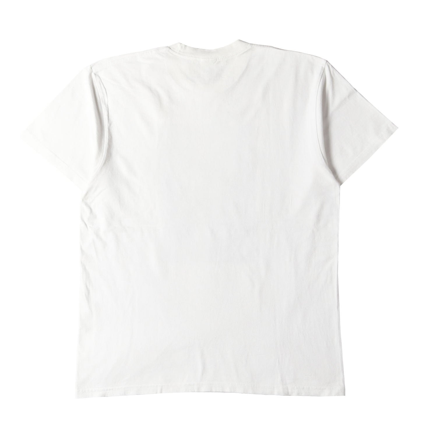 21SS ×ミュータント・タートルズ ラファエロ Tシャツ(Raphael Tee)