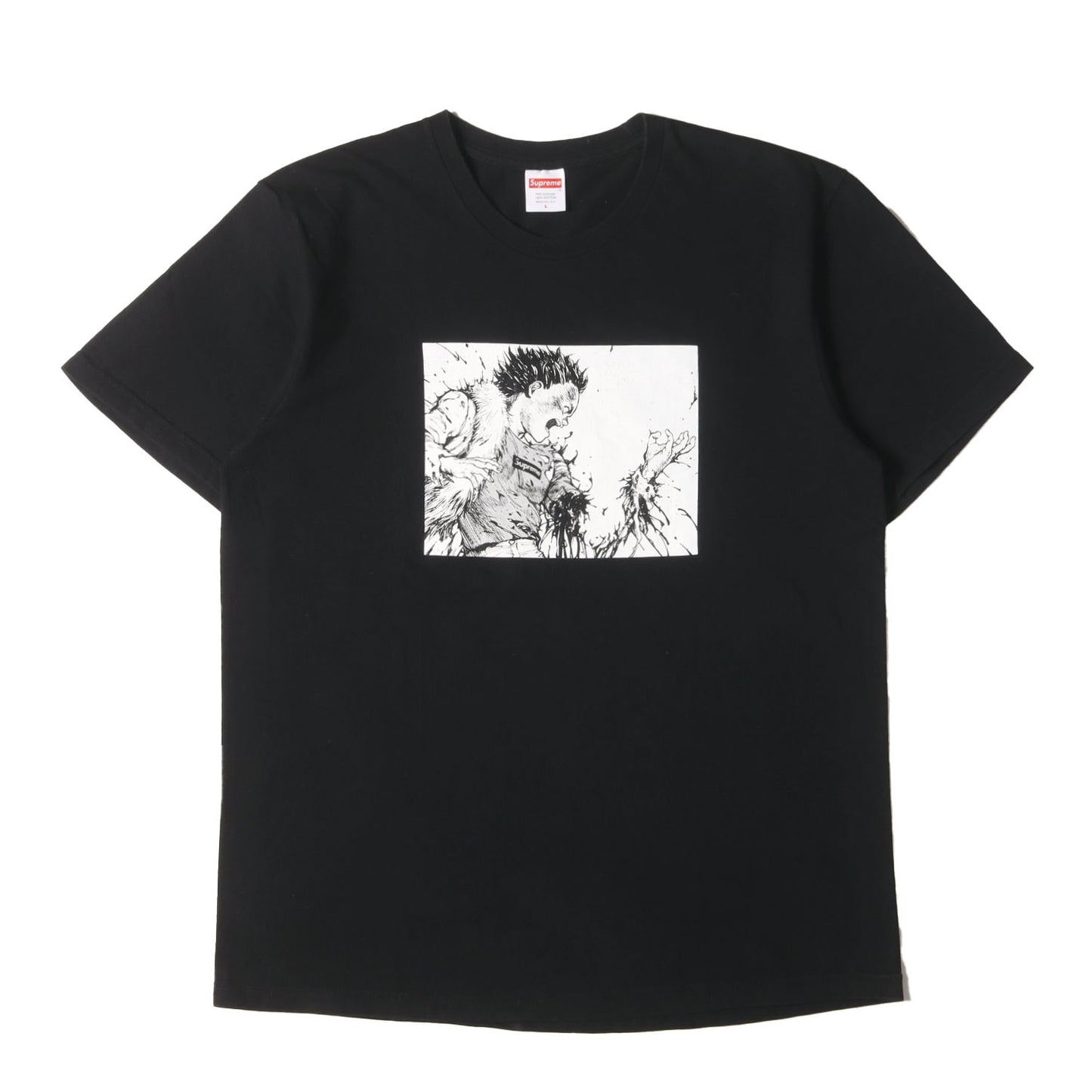 ×AKIRA 鉄雄 グラフィック Tシャツ(Arm Tee)