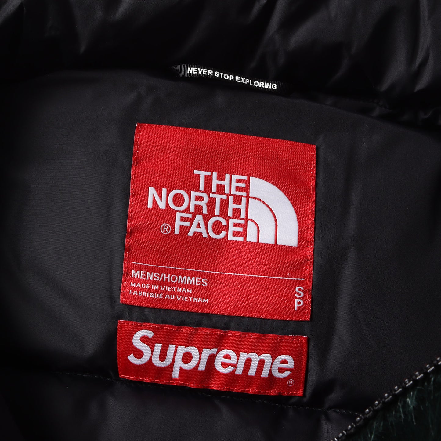 20AW ×THE NORTH FACE フェイクファー ヌプシ ダウンジャケット(Faux Fur Nuptse Jacket)