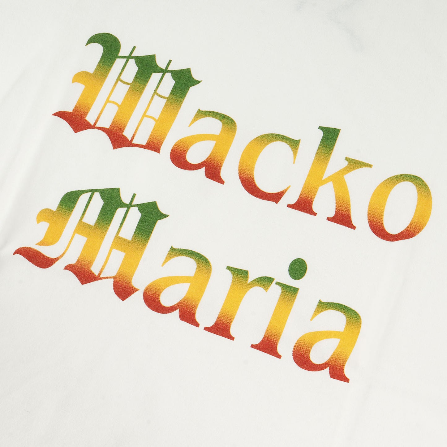 22SS ラスタカラーロゴ Tシャツ(STANDARD T-SHIRT)