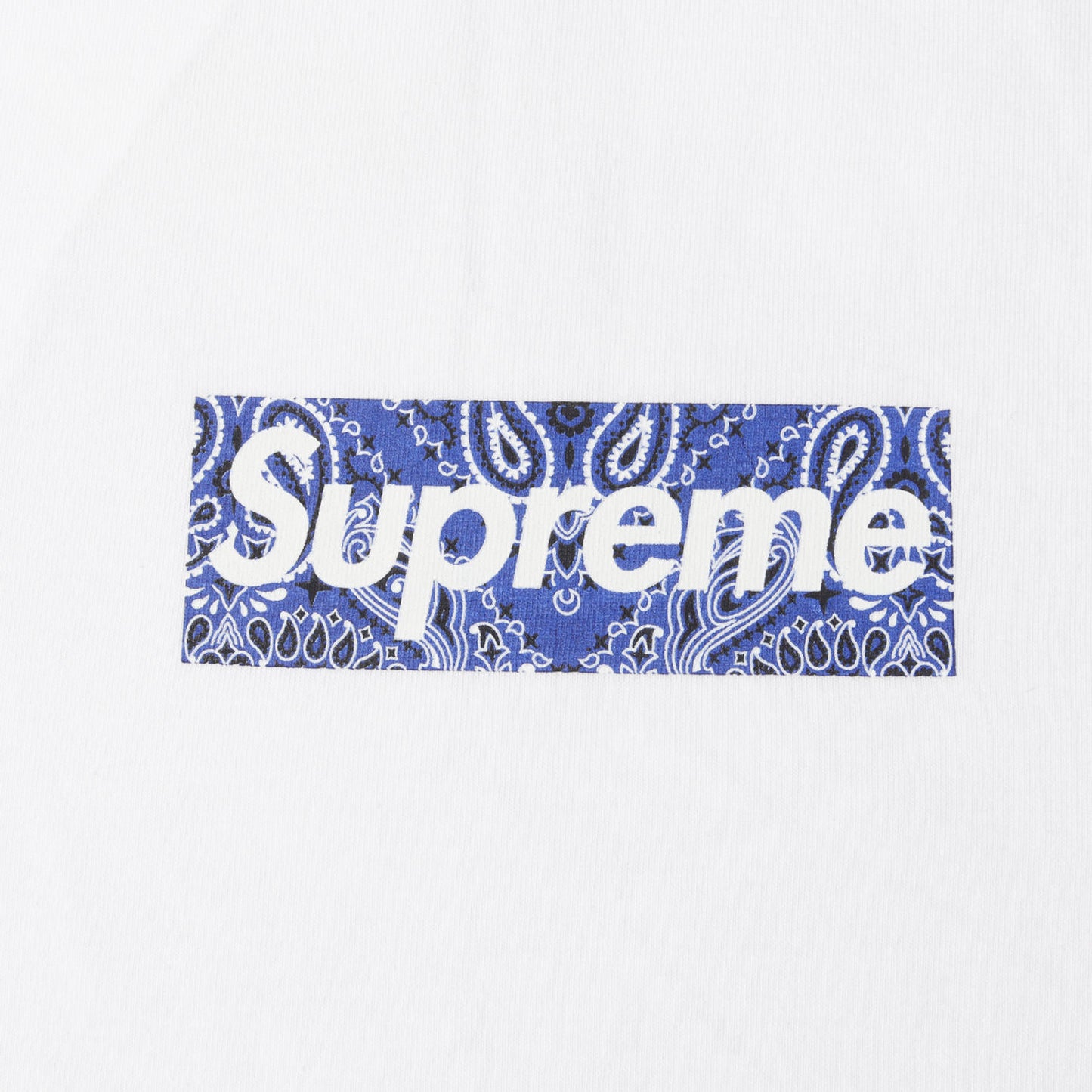 バンダナ BOXロゴ Tシャツ(Bandana Box Logo Tee)