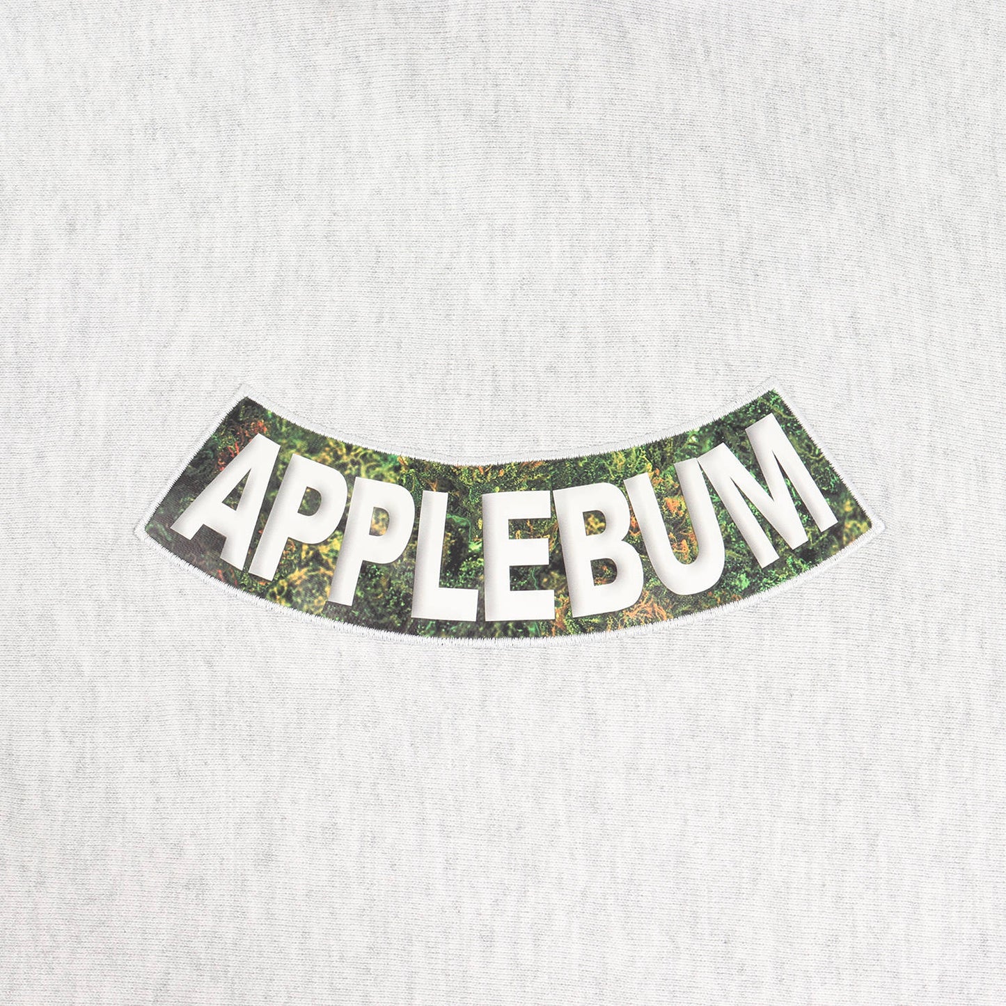 23SS 2店舗限定 ×CRSB/RAIDBACK リアルウィード ロッドマン スウェット パーカー(FABRIC WORM Sweat Parka)