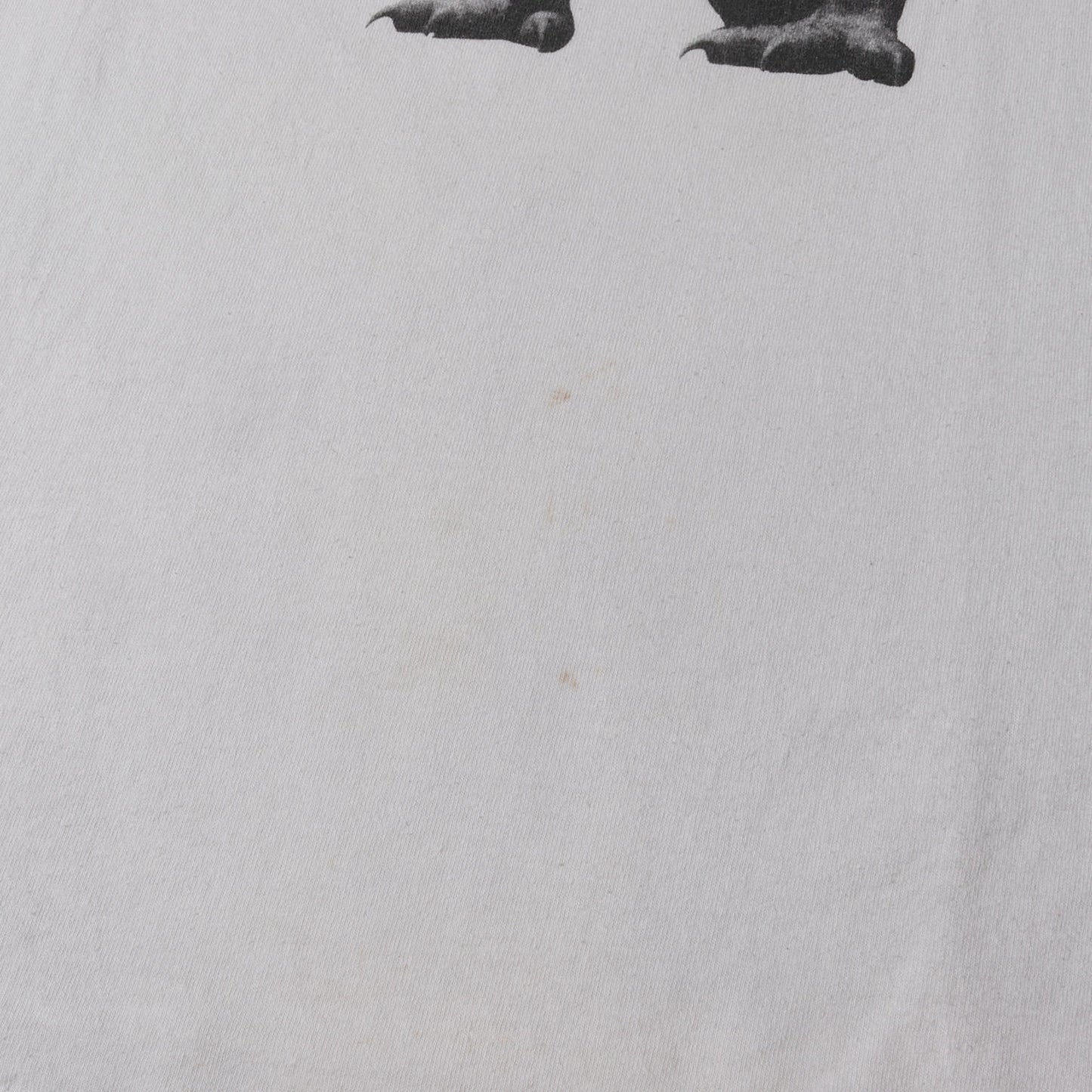 90s OLD STUSSY 紺タグ T-REX / 恐竜 クルーネック Tシャツ(USA製)