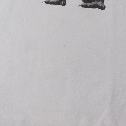 90s OLD STUSSY 紺タグ T-REX / 恐竜 クルーネック Tシャツ(USA製)