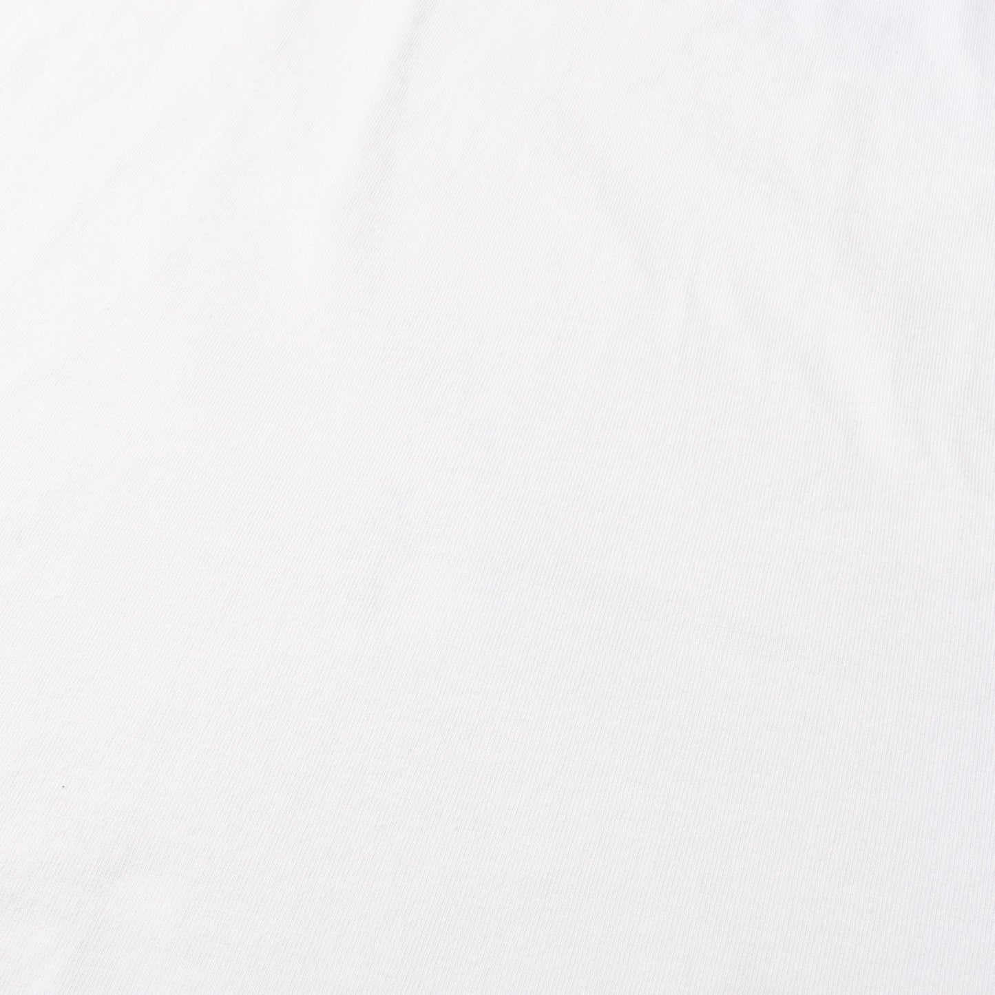 23SS グアダルーペマリア クルーネック Tシャツ