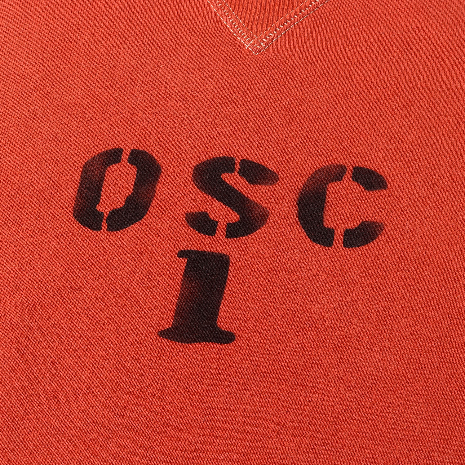 WAREHOUSE (ウエアハウス) ステンシルプリント 両V スウェット