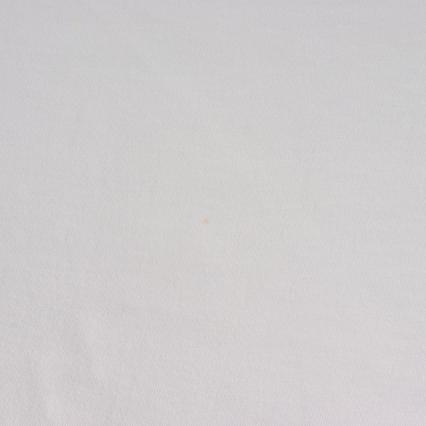 90s 初期モデル スーパーモデル フォト Tシャツ(ONEITAボディ)