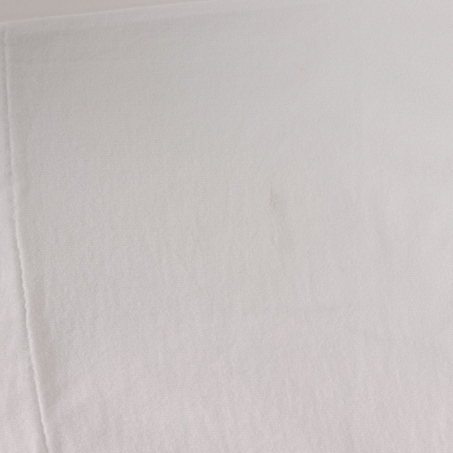 90s 初期モデル スーパーモデル フォト Tシャツ(ONEITAボディ)