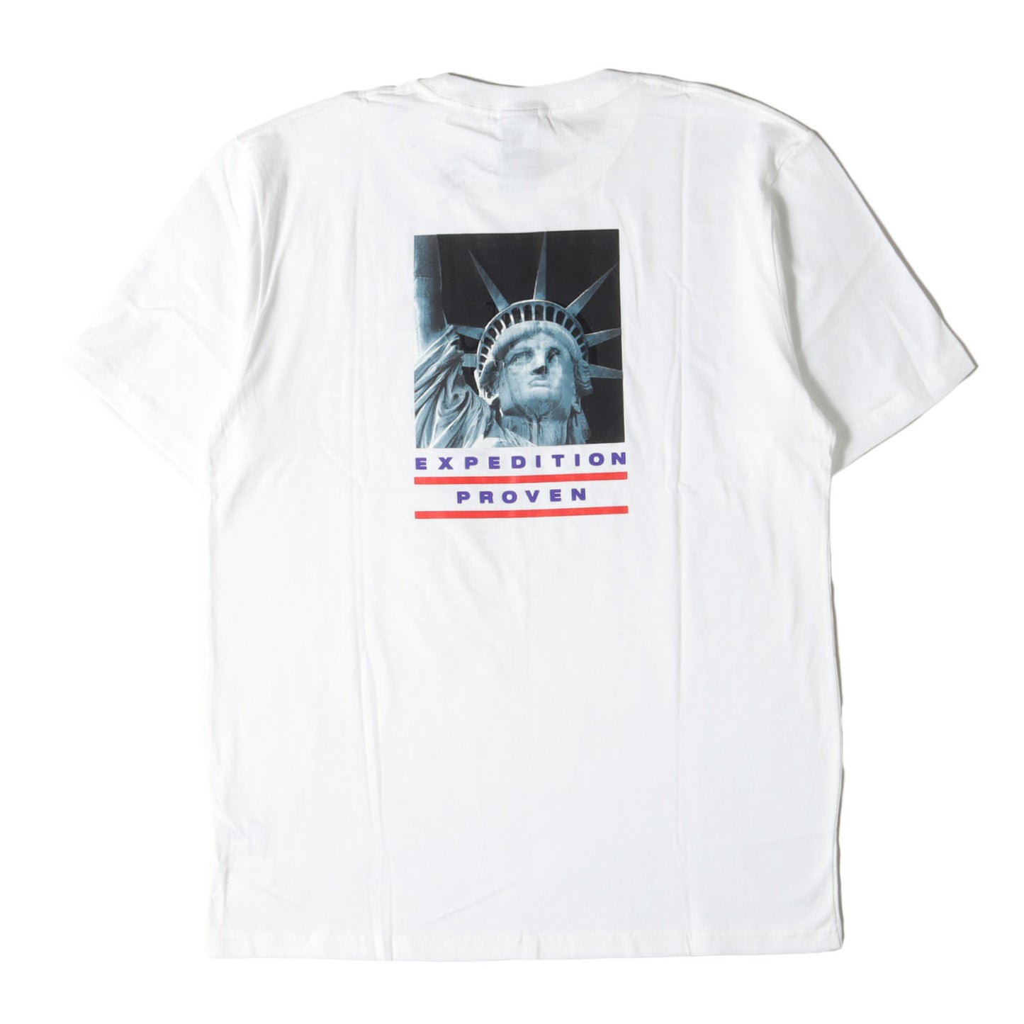 ×THE NORTH FACE 自由の女神 Tシャツ(Statue of Liberty Tee)
