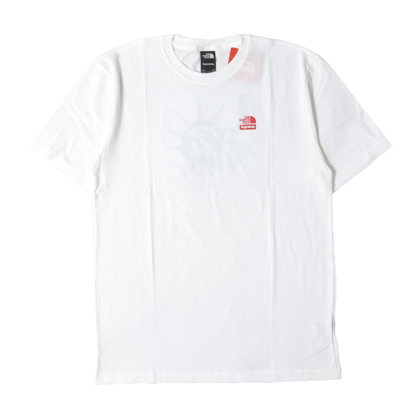 ×THE NORTH FACE 自由の女神 Tシャツ(Statue of Liberty Tee)