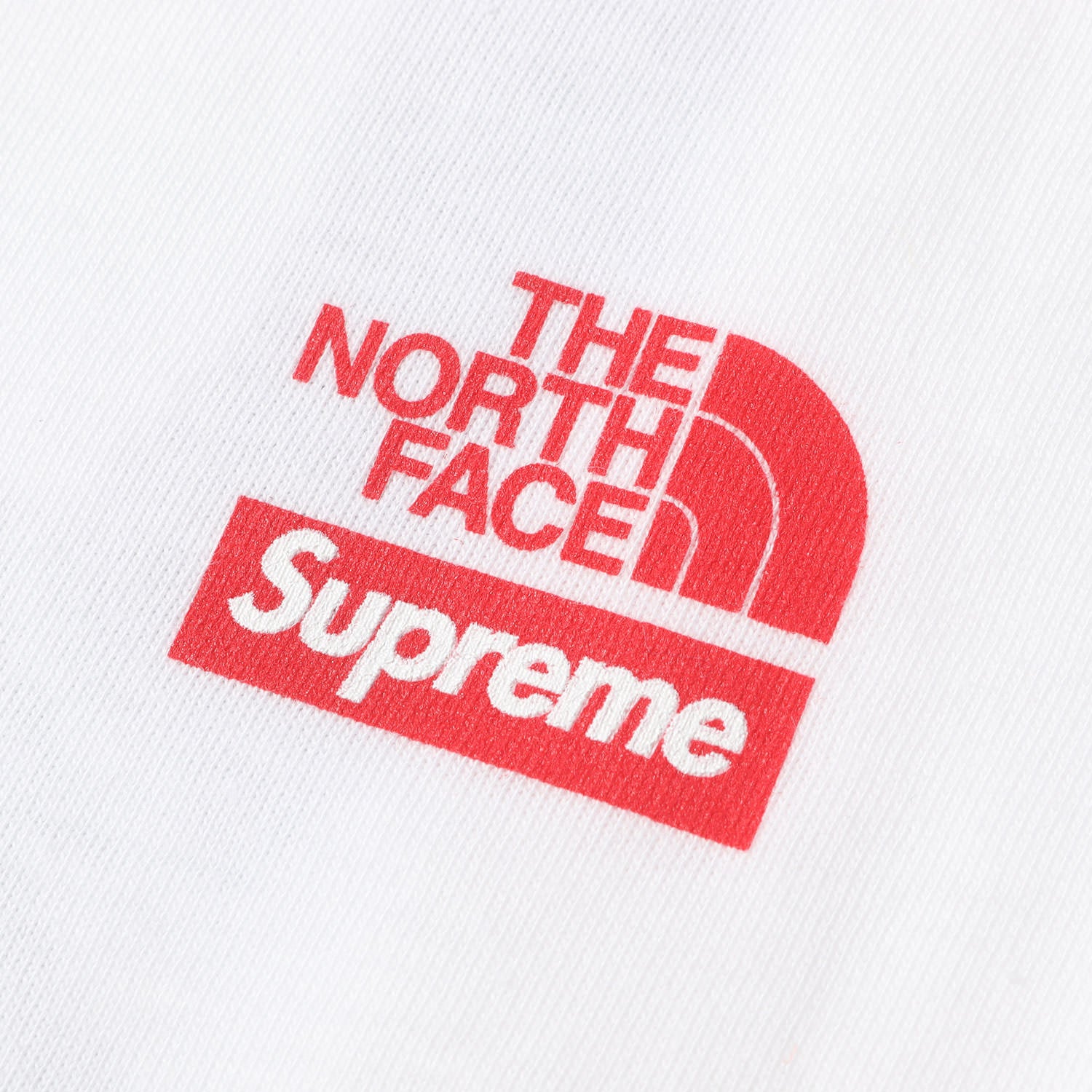 Supreme (シュプリーム) ×THE NORTH FACE 自由の女神 Tシャツ(Statue
