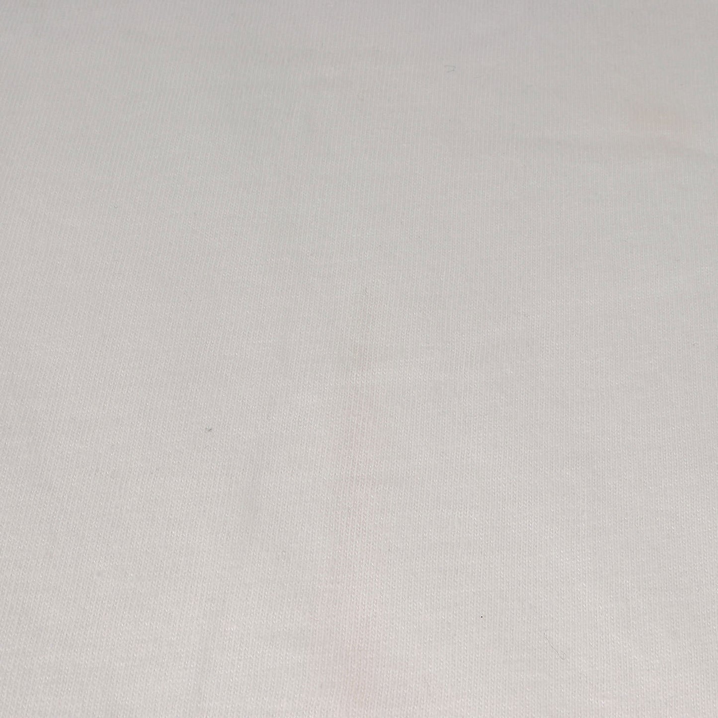 21AW ブランドロゴ クルーネック Tシャツ(Est. 1994 Tee)