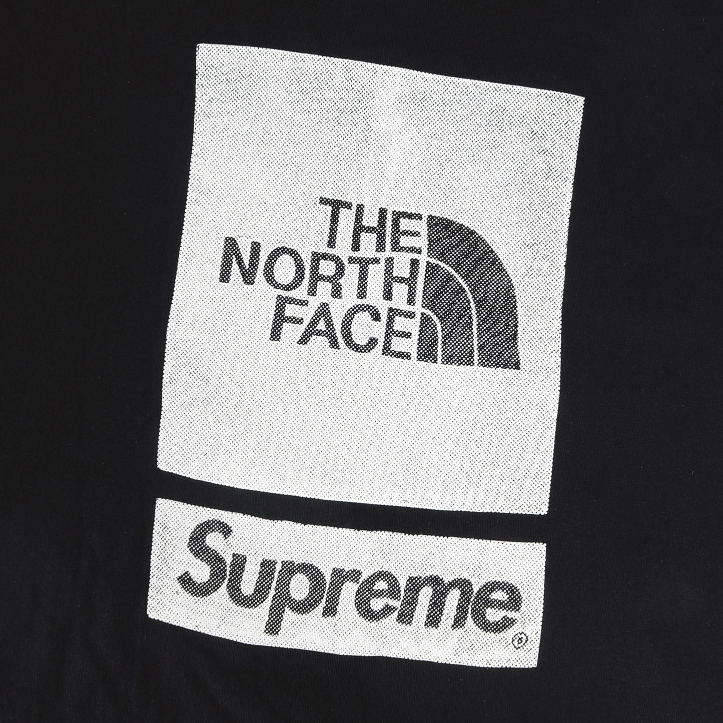24SS ×THE NORTH FACE ロゴプリント クルーネック Tシャツ(S/S Top)