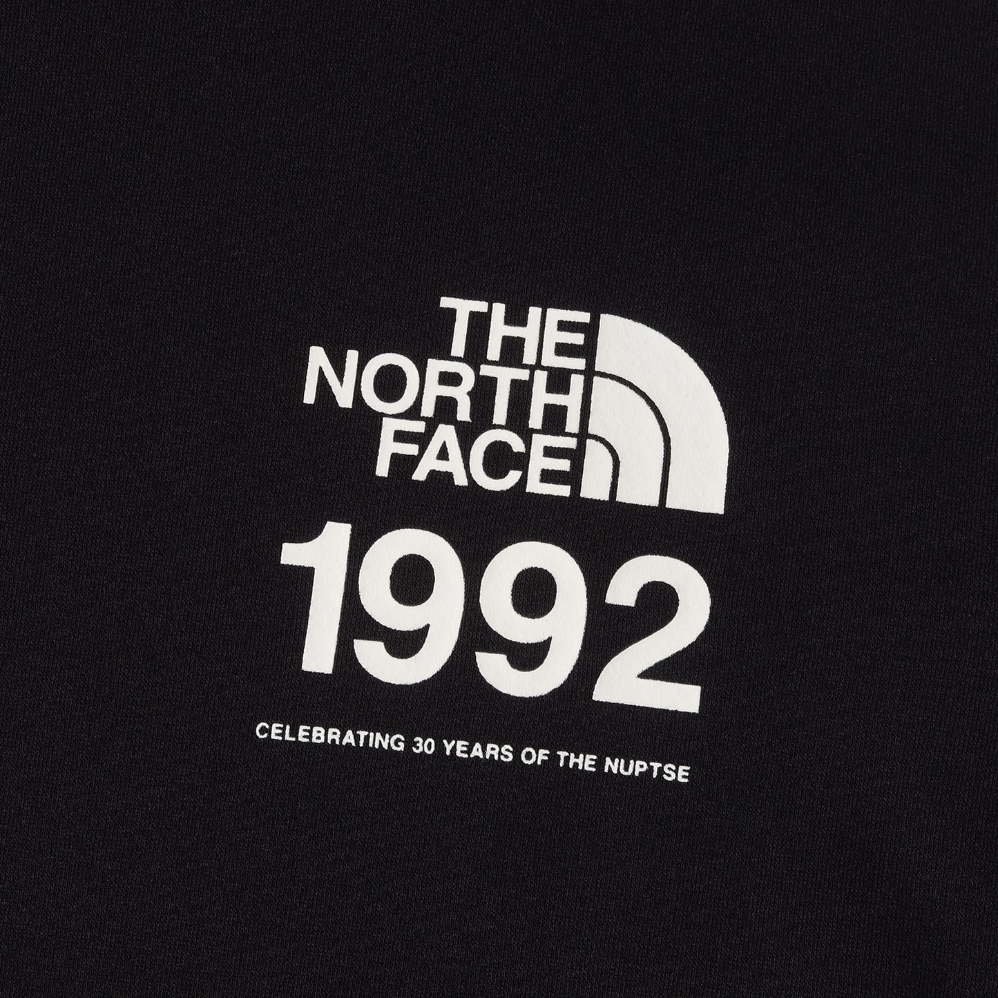 20AW 30周年記念 ヌプシ山 プリント スウェット パーカー(30th Nuptse Sweat Hoodie)