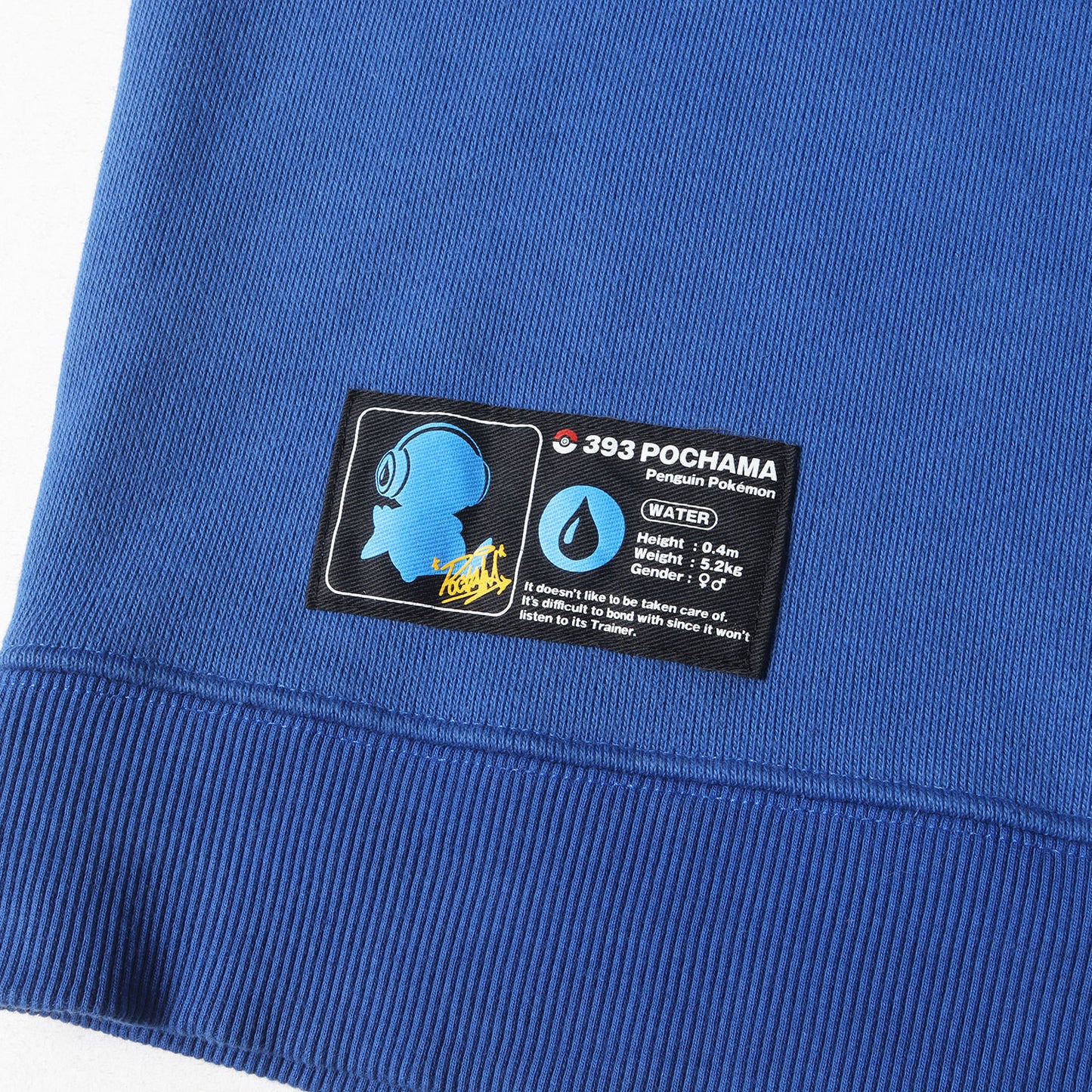 21AW ×POKEMON POCHAMA キャラクター グラフィティプリント クルーネック スウェット(Sweat)