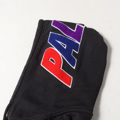 22AW マルチカラー ワッペン スウェット パーカー(Spell Out Chenille Hood)