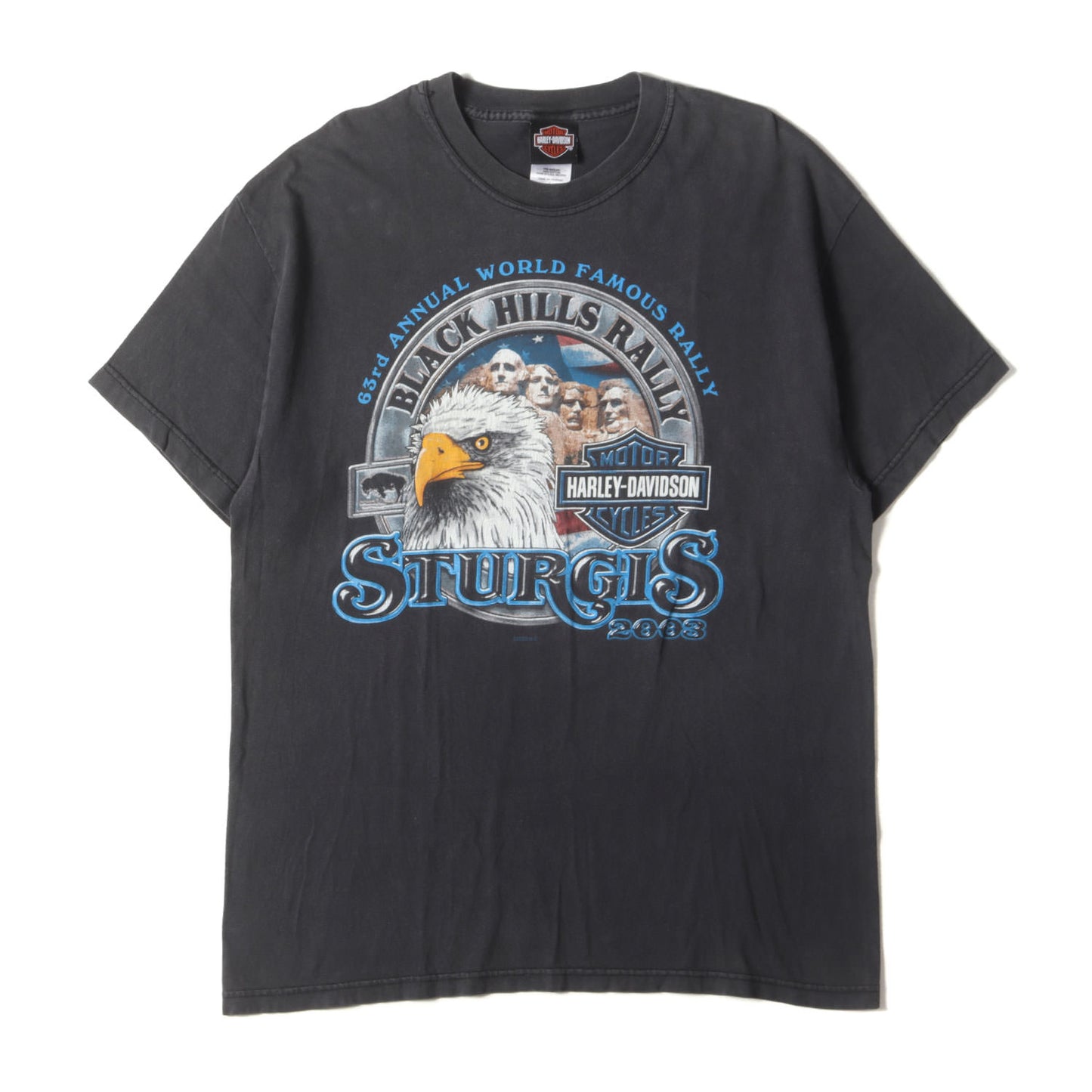 00s R.K.STRATMAN イーグル&ラシュモア山 Tシャツ(USA製 / Hanesボディ)