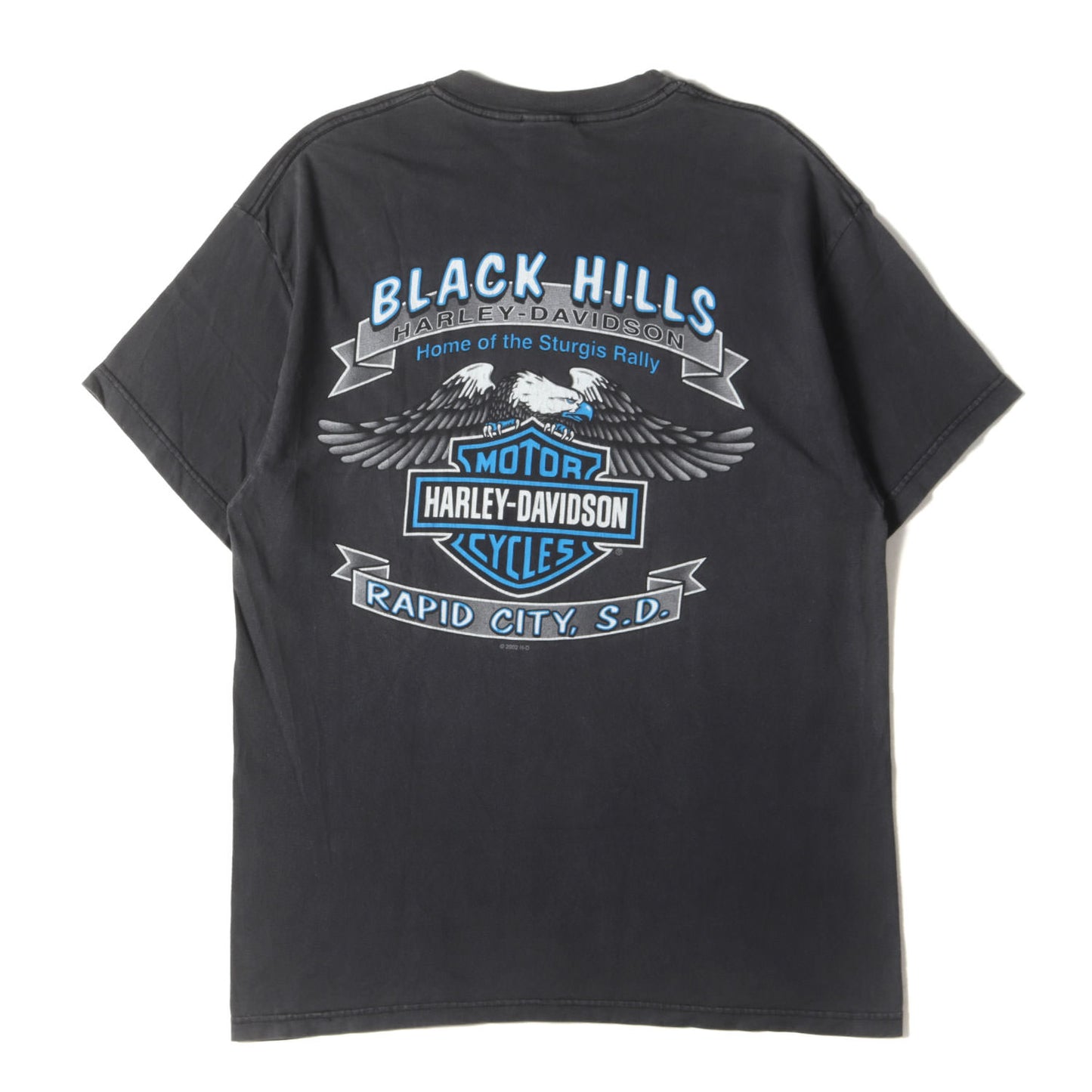 00s R.K.STRATMAN イーグル&ラシュモア山 Tシャツ(USA製 / Hanesボディ)