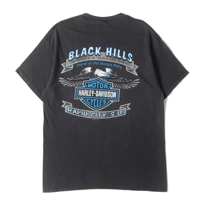 00s R.K.STRATMAN イーグル&ラシュモア山 Tシャツ(USA製 / Hanesボディ)