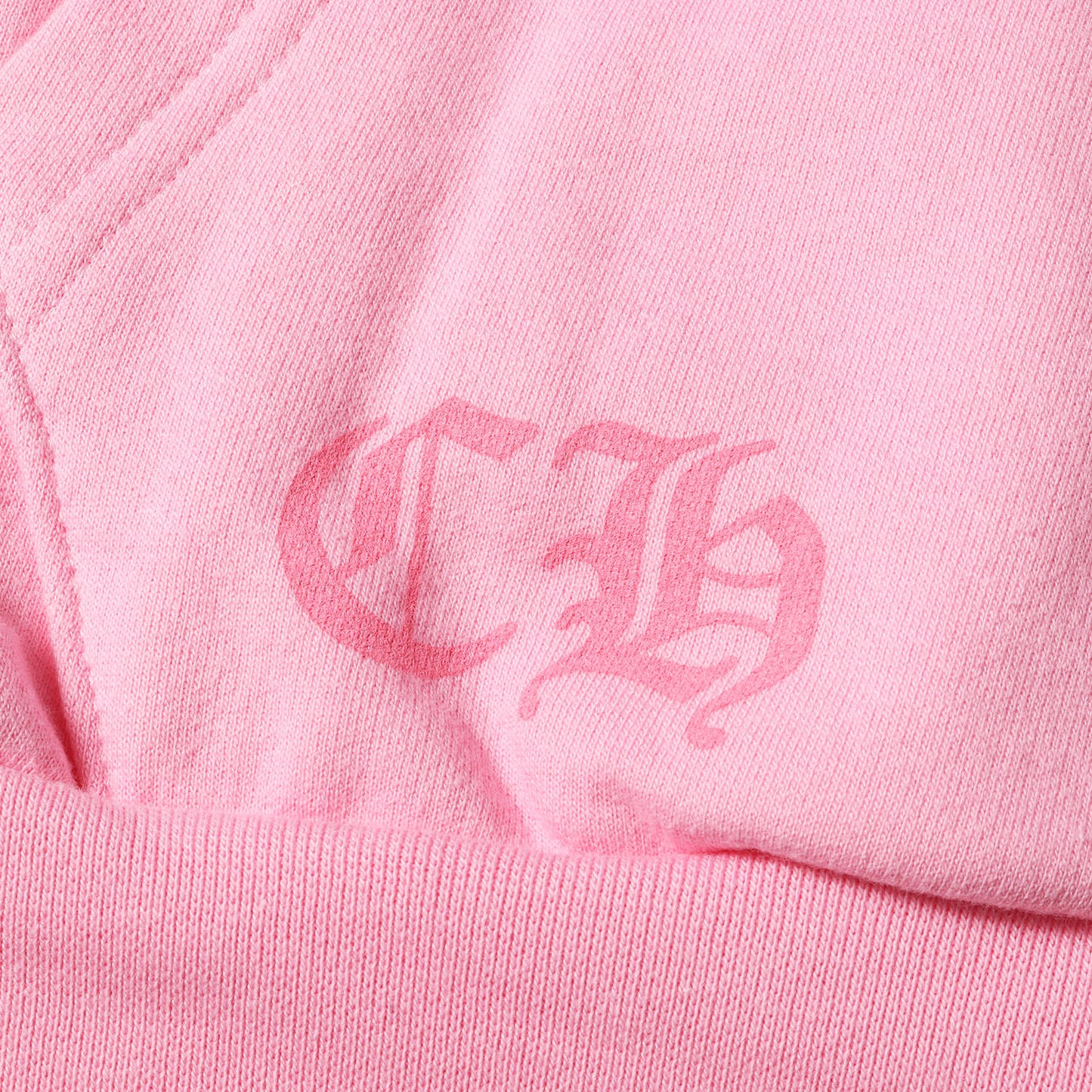 オンライン限定 ブランドロゴ スウェット パーカー(SWTSHRT PLVR)