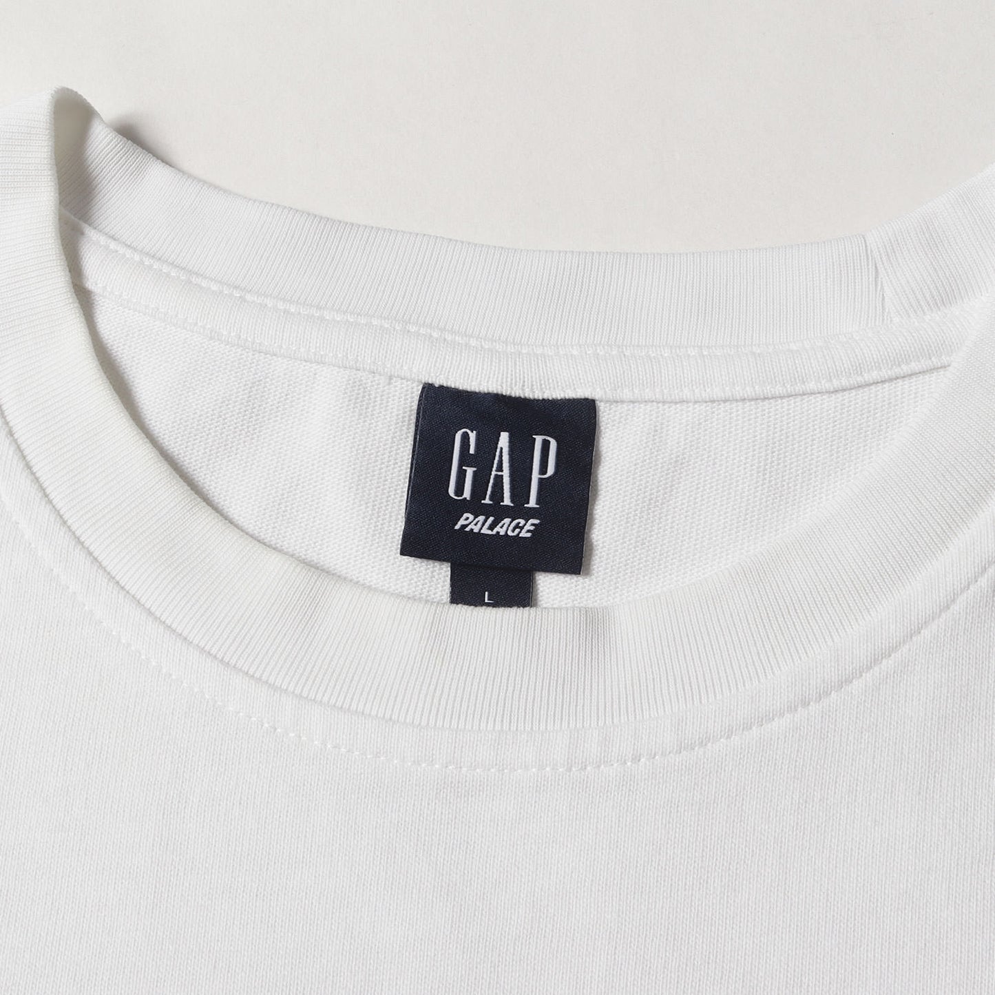 24SS ×GAP 国旗刺繍 ヘビーウェイト Tシャツ (Heavy Jersey T-Shirt)