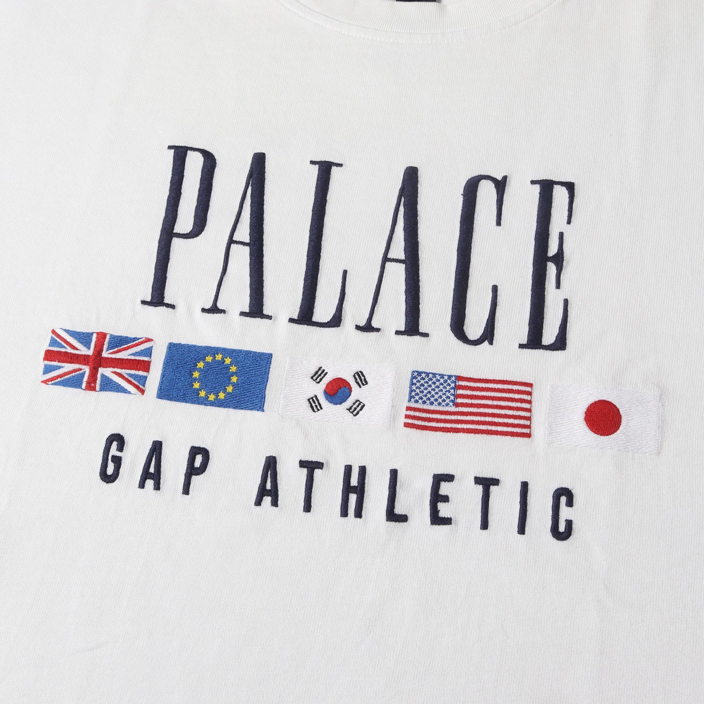 24SS ×GAP 国旗刺繍 ヘビーウェイト Tシャツ (Heavy Jersey T-Shirt)