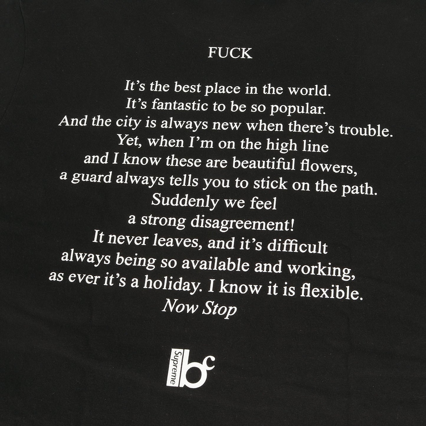 23SS ×Bernadette Corporation フォト Tシャツ(Fuck Tee)