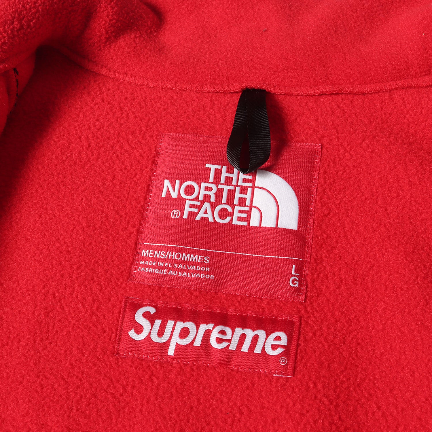 19SS ×THE NORTH FACE アーチロゴ デナリ フリース ジャケット