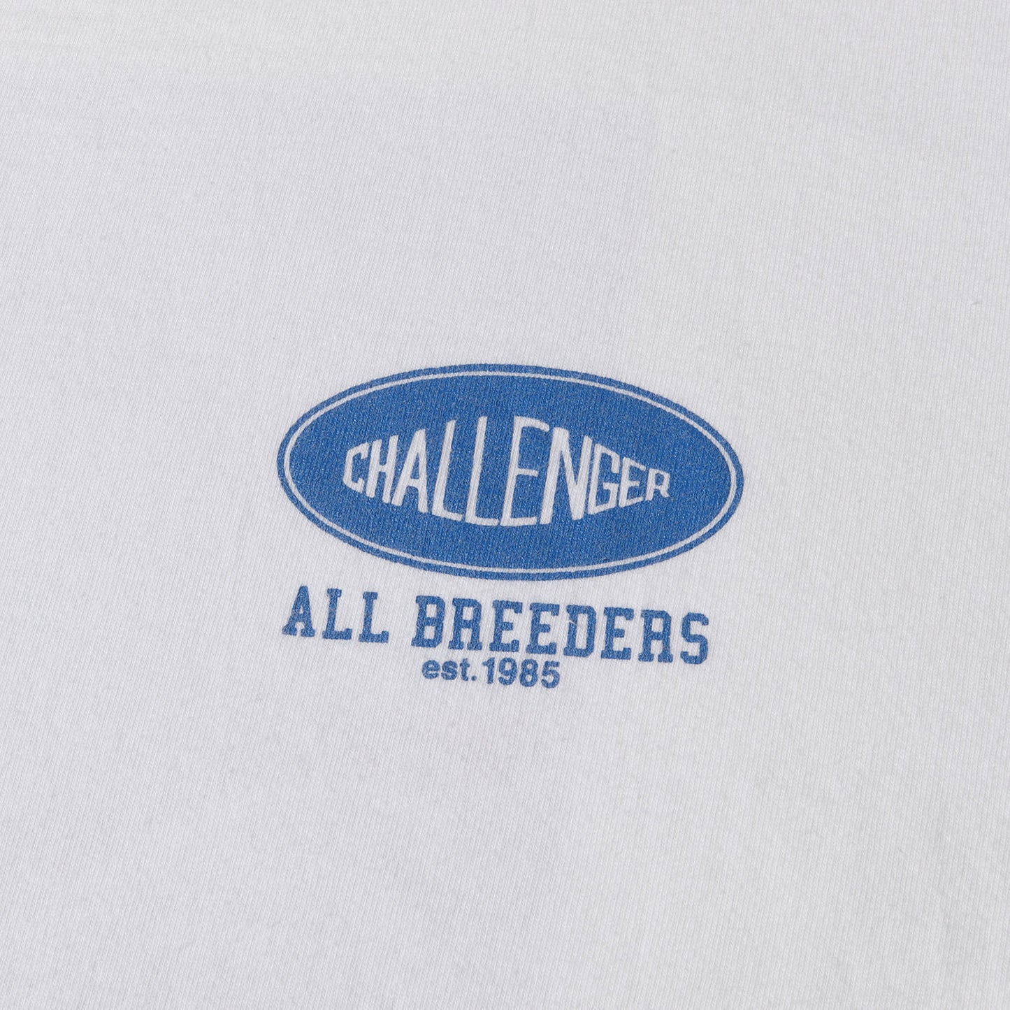 22AW ローズ バンダナ Tシャツ(ROSE BANDANA TEE)