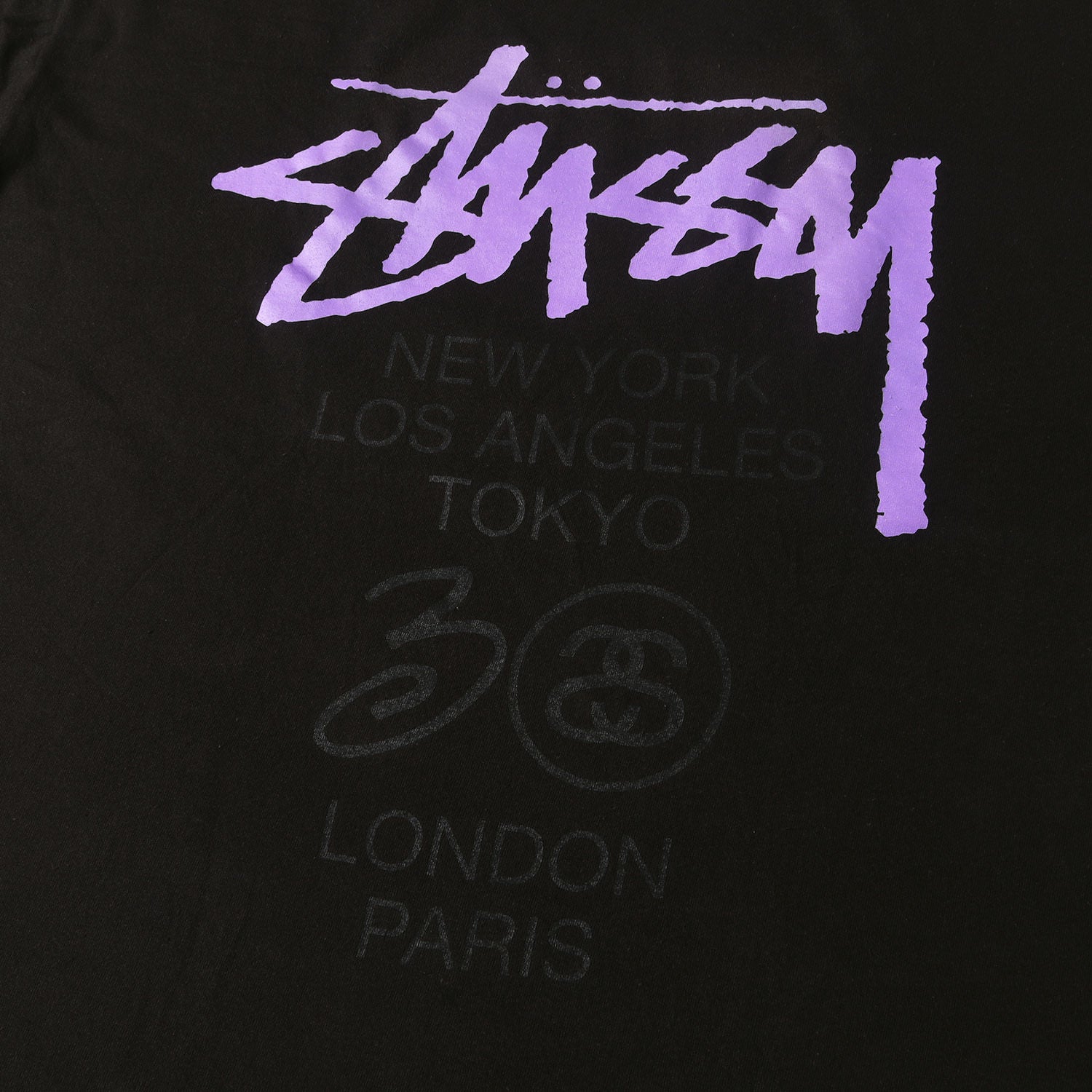 STUSSY (ステューシー) 30周年記念 ローカルカラー ワールドツアーロゴ 