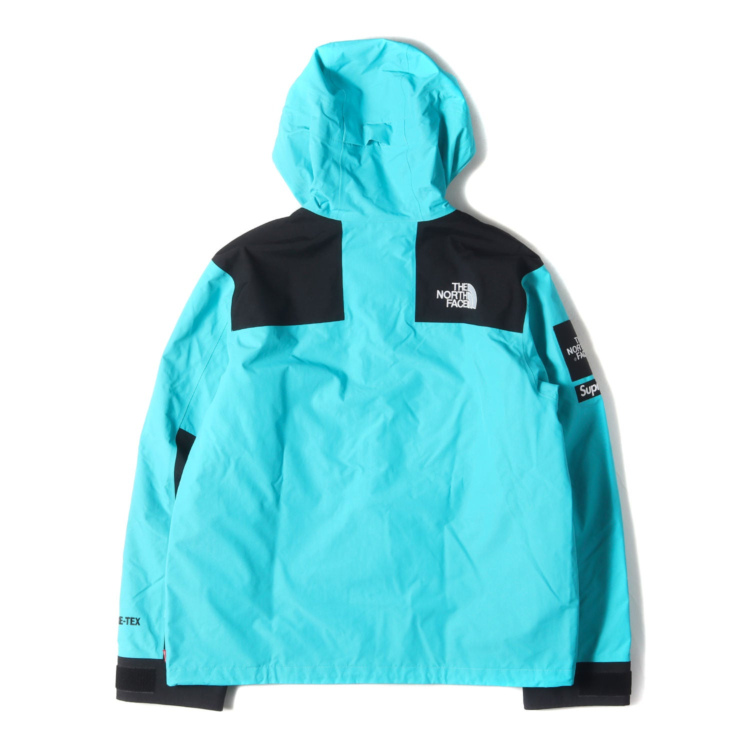 Supreme (シュプリーム) ×THE NORTH FACE GORE-TEX アーチロゴ マウンテンパーカー(Arc Logo Mountain  Parka) - ブランド古着の通販・買取 | BEEGLE by Boo-Bee