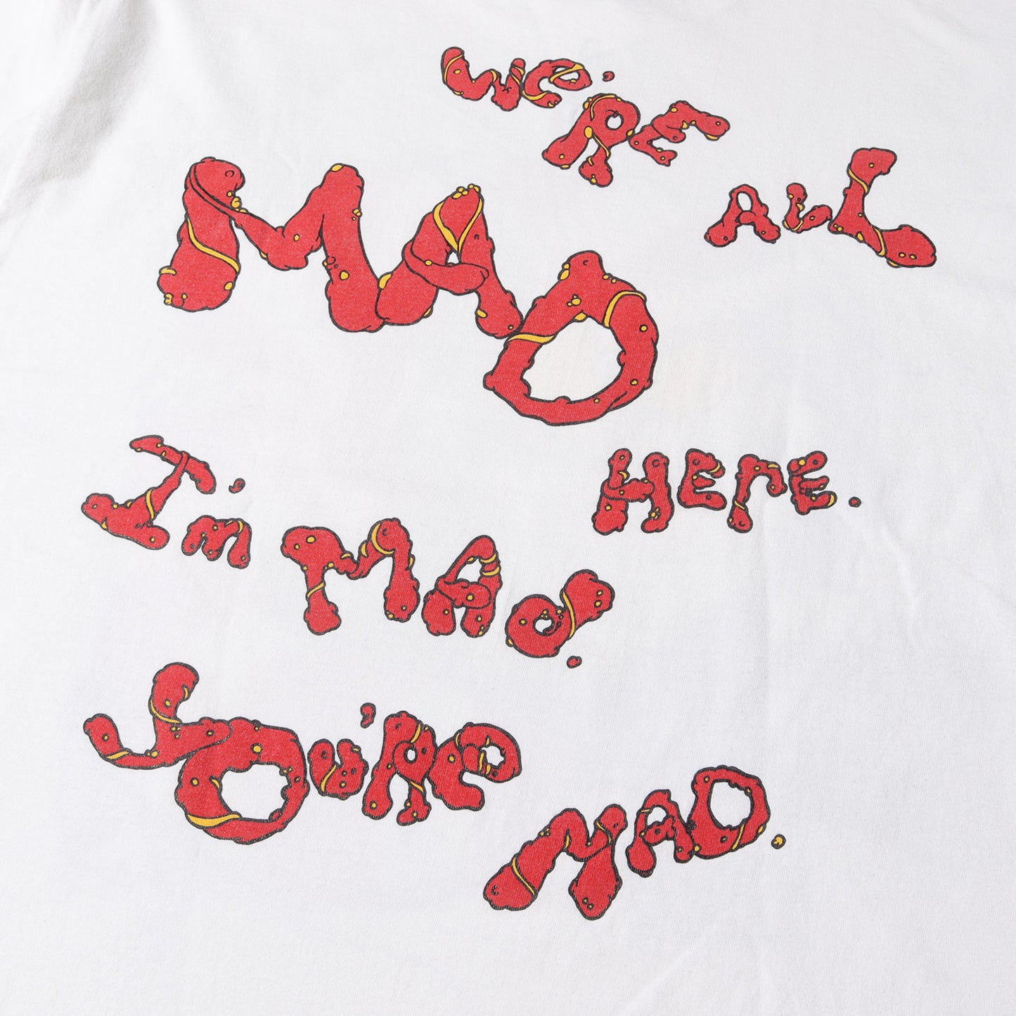 90s 不思議の国のアリス チェシャ猫 Tシャツ(ANDAZIAボディ / USA製)