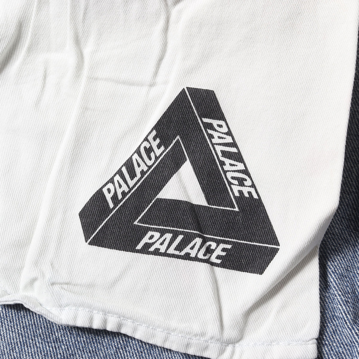PALACE (パレス) 24AW ロゴプリント ストーンウォッシュ加工 バギー 