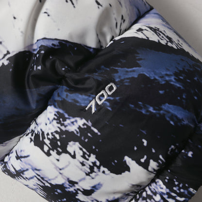 17AW ×THE NORTH FACE 雪山柄 マウンテン バルトロ ダウンジャケット(Mountain Baltoro Jacket)