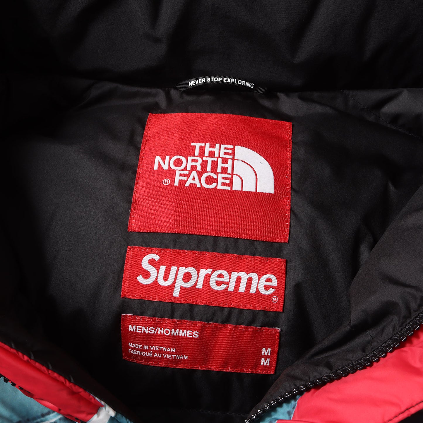 ×THE NORTH FACE 自由の女神 バルトロ ダウンジャケット(Statue of Liberty Baltoro Jacket)